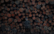 © Fran Mart - Young man in front of  lumber stockpile