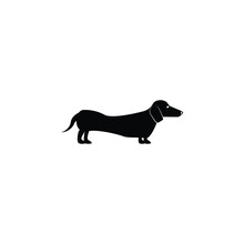 Dachshund Icon. Popular Breed Of Dogs Element Icon. Premium Quality Graphic Design Icon. Dog Signs And Symbols Collection Icon For Websites, Web Design, Mobile App