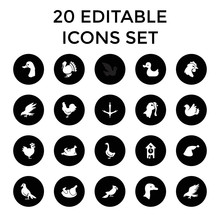 Bird Icons. Set Of 20 Editable Filled Bird Icons