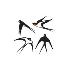 Collection Swallows  Template Logo Or Emblem. Vector Illustration