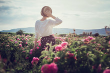 Flower Series. Pink Field. Crimea, The Village Of Turgenyevka. A Country Girl Enjoys The Sunset, Wine And Reading Books In The Fragrant Rose Garden. The Concept Of Perfume