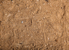 Brown Sand Background