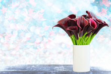 Dark Red Calla Lily With Blue Bokeh And Free Space For Valentine Background.