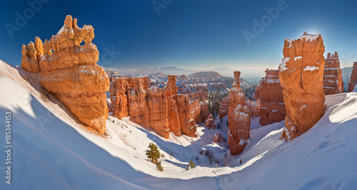 Cuadros en Lienzo Bryce Canyon National Park under snow , winter landscape