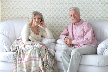 Wall Mural - happy laughing senior couple at home