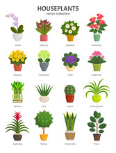 Houseplants Collection. Vector Illustration Of Most Popular Houseplants And Flowers In Multi-colored Pots, Such As Orchid, Calla Lily, Gardenia, Violet, Aloe And Cactus. Isolated On White.