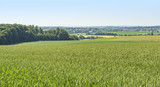Fototapeta Krajobraz - rural scenery in Hohenlohe