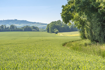 Poster - rural scenery in Hohenlohe