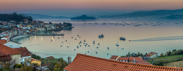 Pontevedra Estuary Panorama