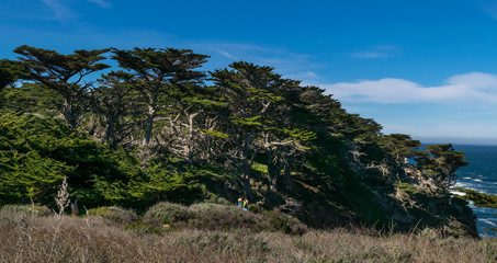  Point Lobos State Natural Reserve, Big Sur, Carmel Highlands, Monterey County, California, USA