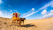 Lonely horse with carriage in the Egyptian desert