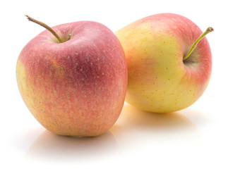 Wall Mural - Two apples (Evelina variety) isolated on white background.