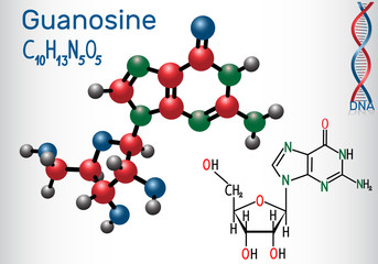 Wall Mural - Guanosine - purine nucleoside molecule, is important part of GMP, GDP, cGMP , GTP, RNA, DNA. Structural chemical formula and molecule model