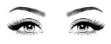 Fototapeta  - Hand-drawn woman's sexy luxurious eye with perfectly shaped eyebrows and full lashes. Idea for business visit card, typography vector. Perfect salon look.