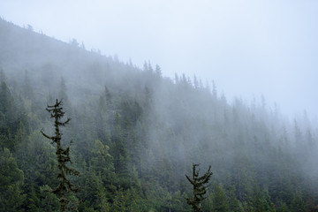 misty morning view in wet mountain area in slovakian tatra. autumn colored forests