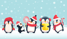 Penguins Cartoon Illustration