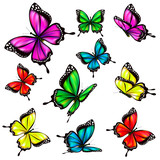 Fototapeta Motyle - beautiful color butterflies,set, isolated  on a white