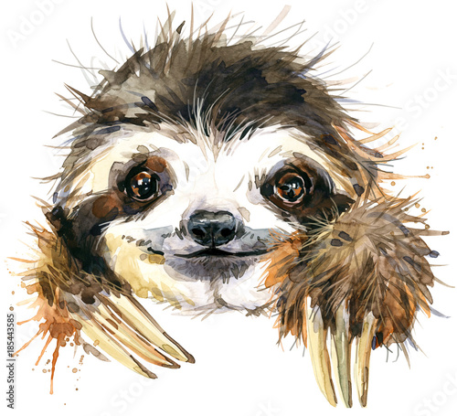 Cuadros en Lienzo Watercolor sloth illustration. tropical animal