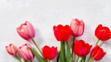 Fototapeta Tulipany - Background Valentine's Day or wedding. Red and pink tulips bouquet on a gray stone background. The apartment was lying. Top view with copy space.