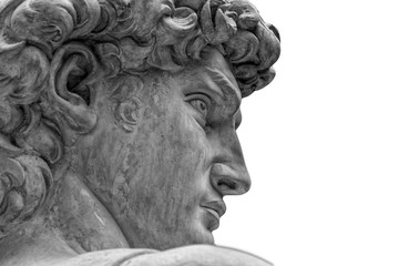 head of a famous statue by michelangelo - david from florence, isolated on white