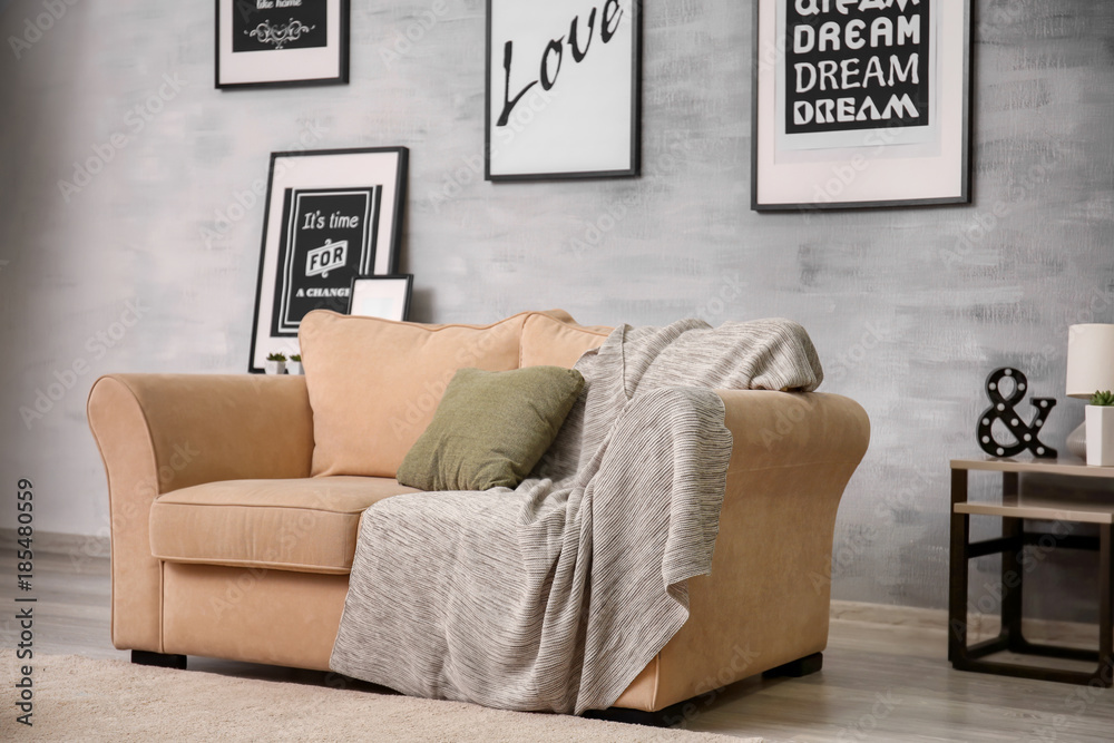 Interior of living room with comfortable sofa