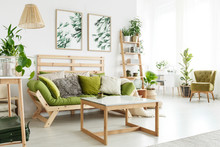 Eco Living Room With Plants