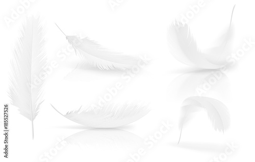 Realistic 3d white bird feathers set Poster Mural XXL