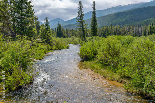 Fotomural Mountain Summer Storm - A summer afternoon storm coming over Glacier Creek and surrounding mountain hills and dense forest in Rocky Mountain National Park, Estes Park, Colorado, USA