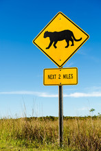 Traffic Sign At The Road Side Warns The Drivers About Cougar Crossing Next 2 Miles