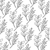 Fototapeta Sypialnia - leaves on stem delicate pattern image vector illustration design 