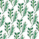 Fototapeta Sypialnia - leaves on stem delicate pattern image vector illustration design 