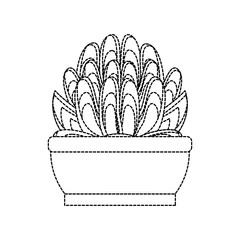 Wall Mural - Desert plant in pot