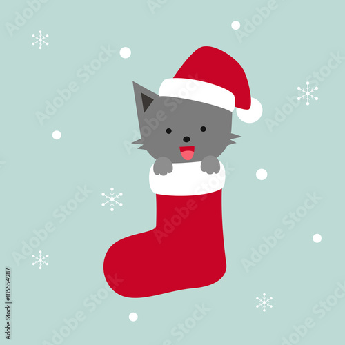 grey cat in red Christmas sock, snowflakes vector