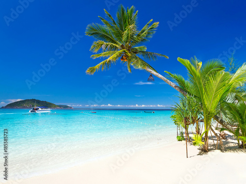 Tropical beach scenery at Caribbean Sea Poster Mural XXL