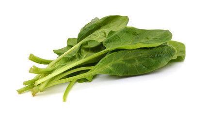 Fresh leaves of spinach