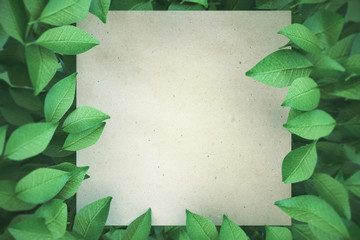 Poster - Empty square banner with leaves