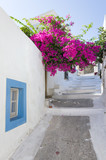 Fototapeta Uliczki - Architecture in Leros island, Dodecanese, Greece 