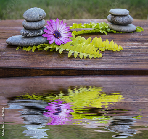 reflejos de naturaleza