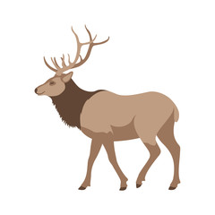 Wall Mural - big deer vector illustration flat style  profile