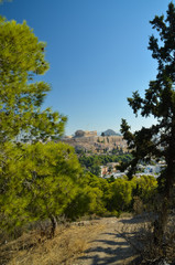 Fototapete - Parthenon acropolis among pine trees  Athens Greece