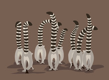 A Flock Of Lemurs Moves With Proudly Raised Striped Tails
