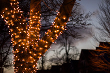Up Close Exterior Nighttime Shallow Depth Of Field Stock Photo Of Tree Wrapped With Christmas Lights With Semi Cloudy Night Sky In Background In Buffalo New York