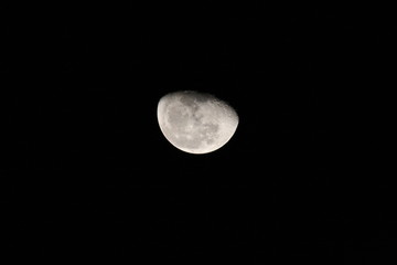 night moon