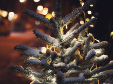 Lights And Street Decorations At Small Christmas Tree