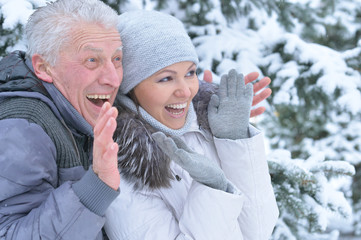 Poster -  senior father with daughter