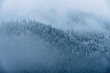 © Michael Schauer - Snow covered trees at Lake Eibsee with pine forest during early winter on a blue hour moody day, bavaria, Germany