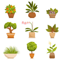 Sticker - House plants, decorative flowers indoors. Vector illustrations in cartoon style