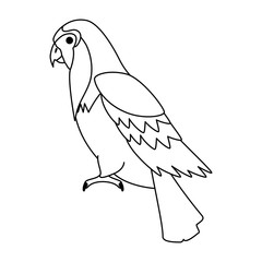 Sticker - cockatoo exotic bird icon