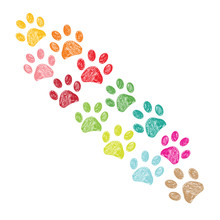  Colorful Paw Print Background
