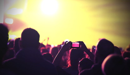 Wall Mural - girl using smart phone at live concert